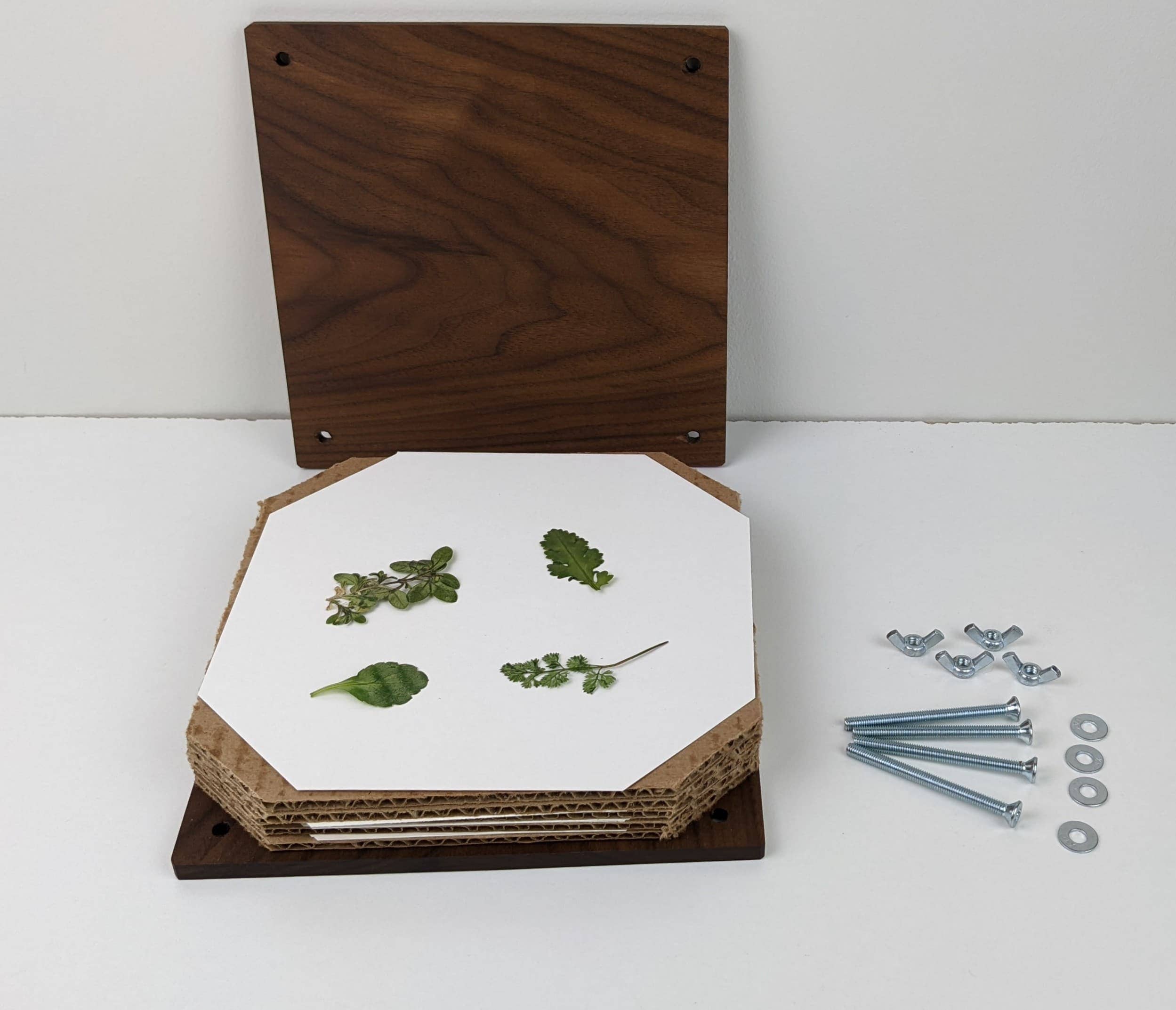 Hardwood Flower Pressing Kit | 7"x7"
