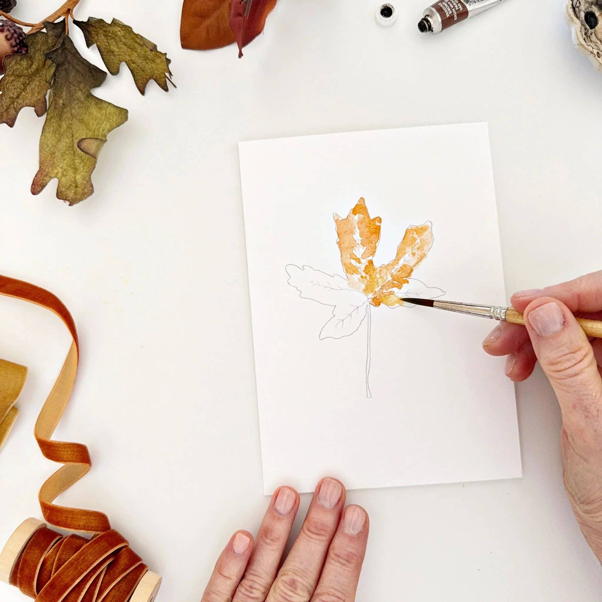 Fall Leaves Paintable Watercolor Notecard Set by emily lex studio