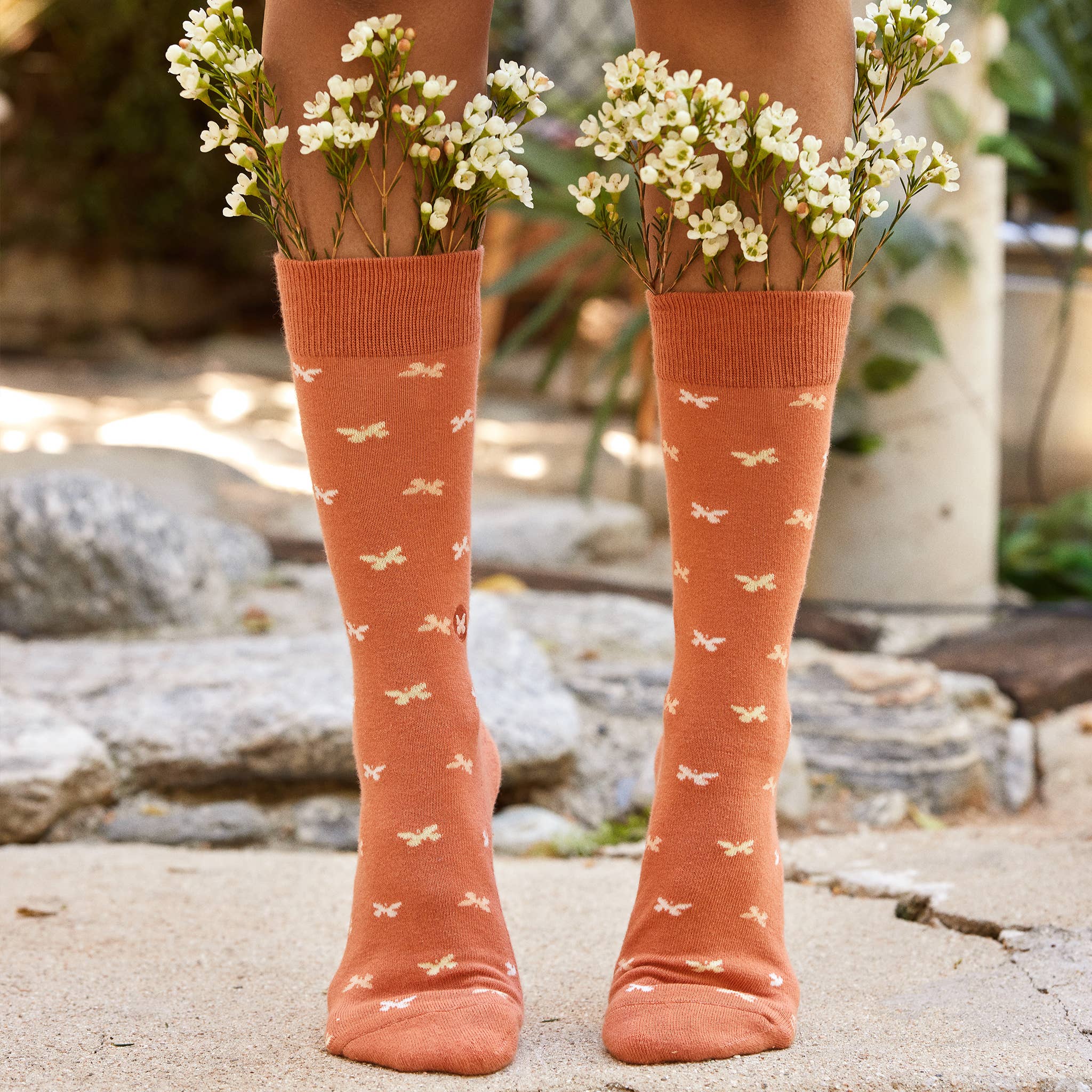 Boxed Set - Socks that Stop Violence Against Women by Conscious Step