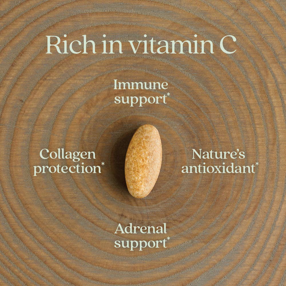 Fermented Vitamin C Supplement, 30 Vegan Tablets by New Chapter