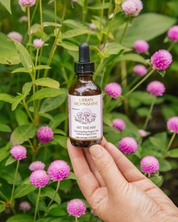 Hit the Hay Herbal Tincture - Promotes Rest & Relaxation by Urban Moonshine