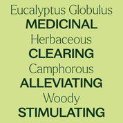 Organic Eucalyptus Globulus Essential Oil 10 mL by Plant Therapy