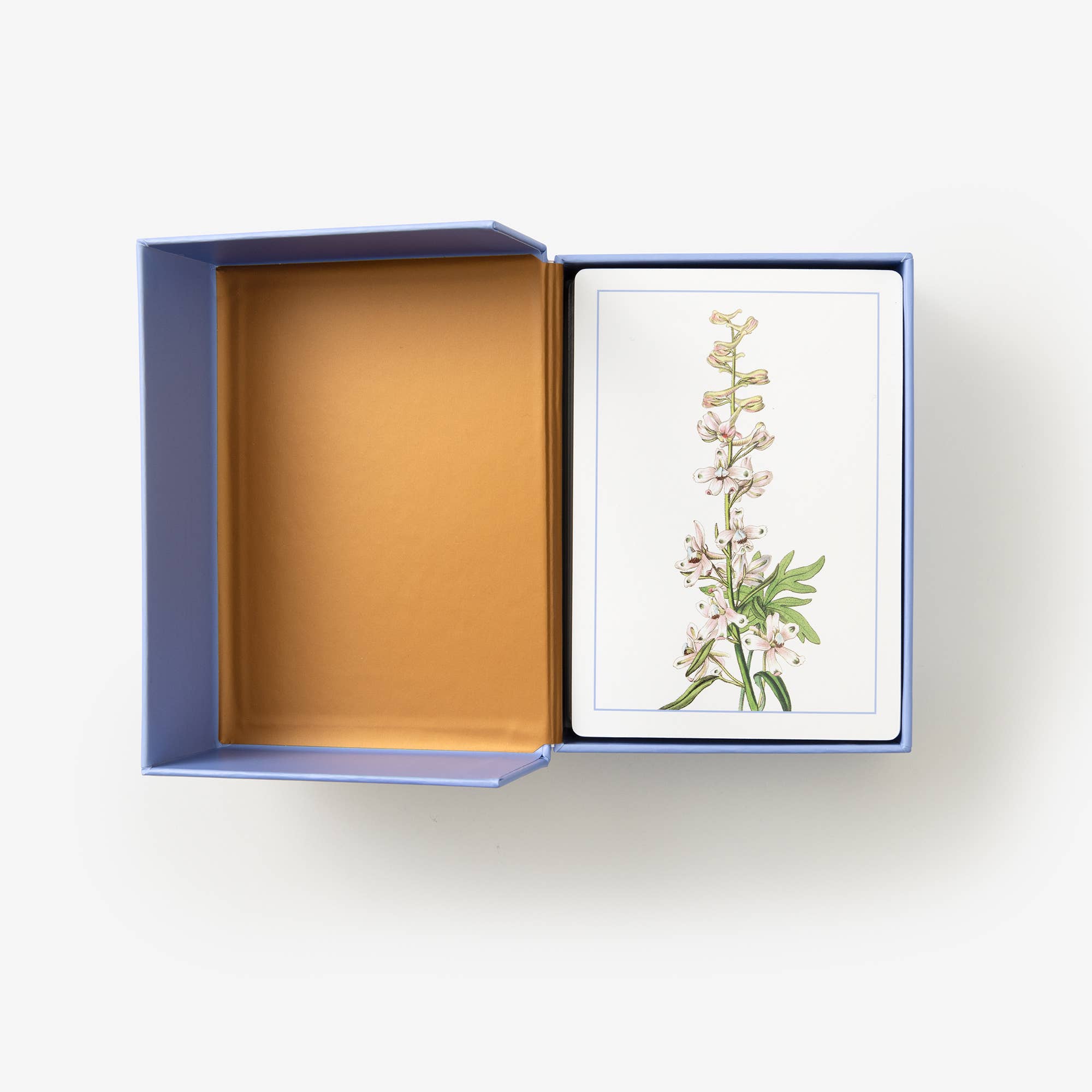 Wildflower ID Flashcards