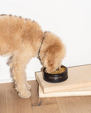 Dog Bowl by Wild One