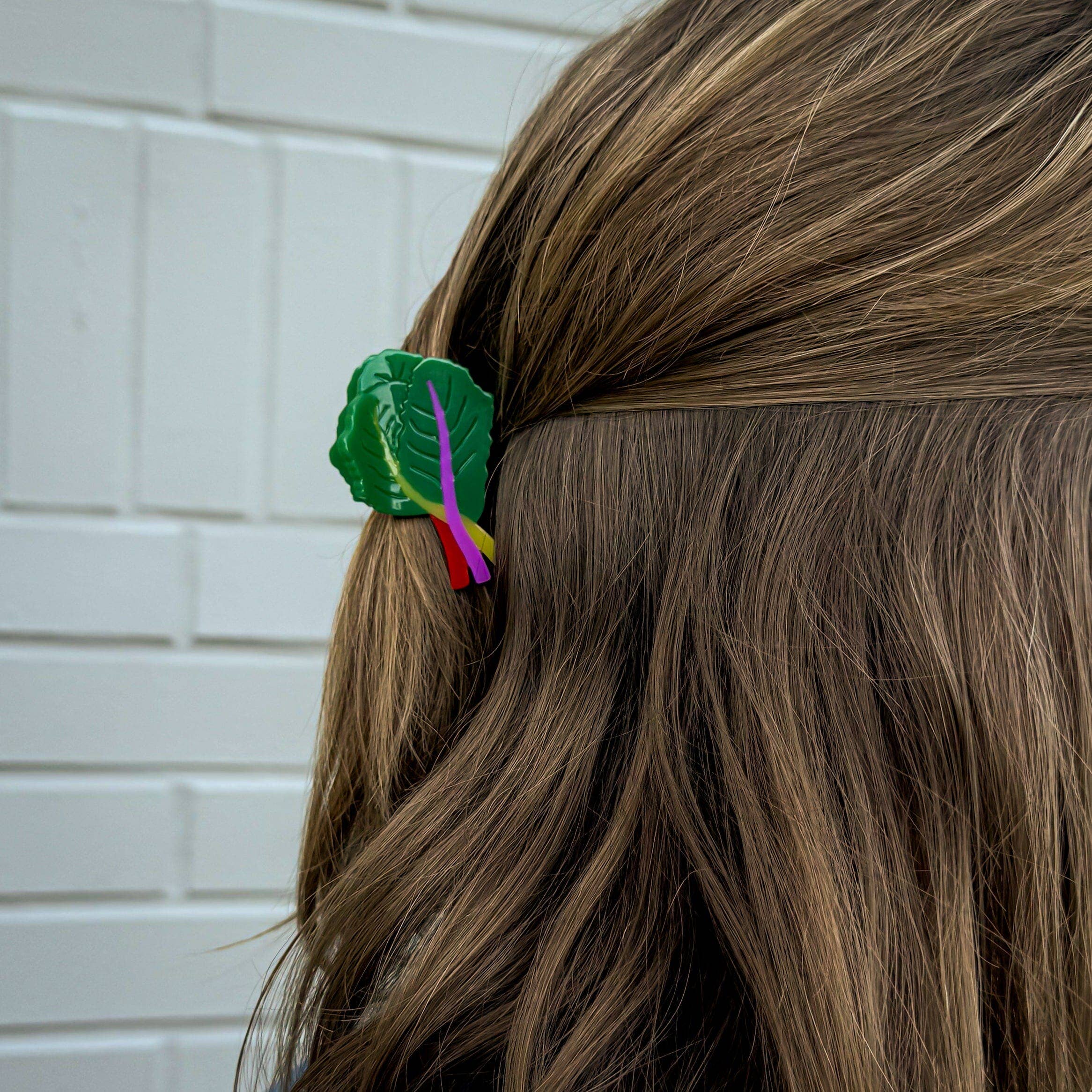 Mini Rainbow Chard Hair Claw Clip by Jenny Lemons