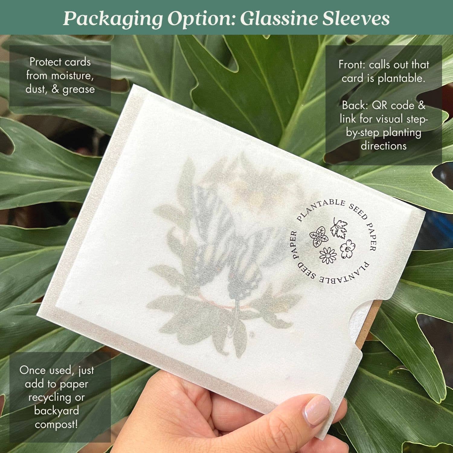 Echinacea Plantable Wildflower Seed Card by Small Victories