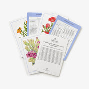 Wildflower ID Flashcards