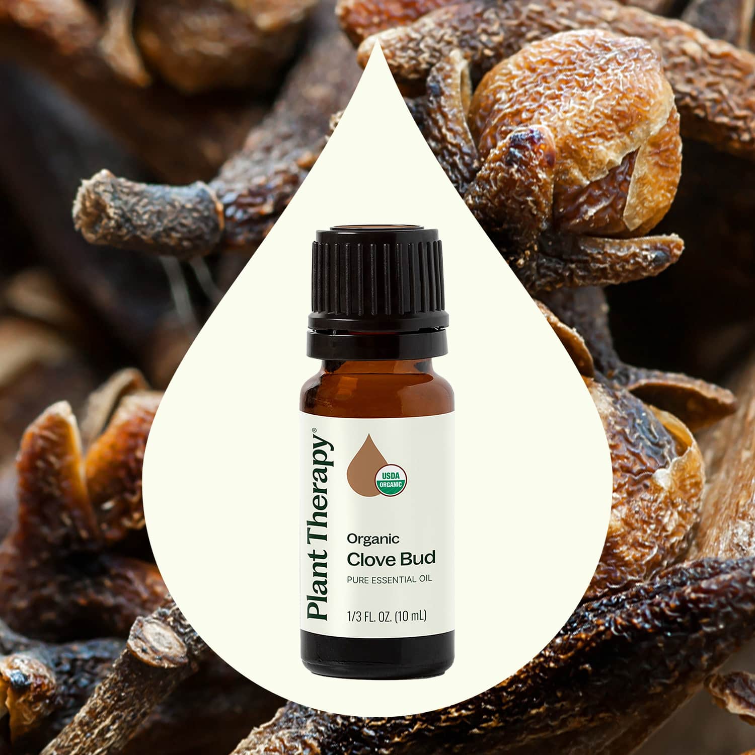 Organic Clove Bud Essential Oil 10 mL by Plant Therapy