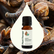 Organic Clove Bud Essential Oil 10 mL by Plant Therapy