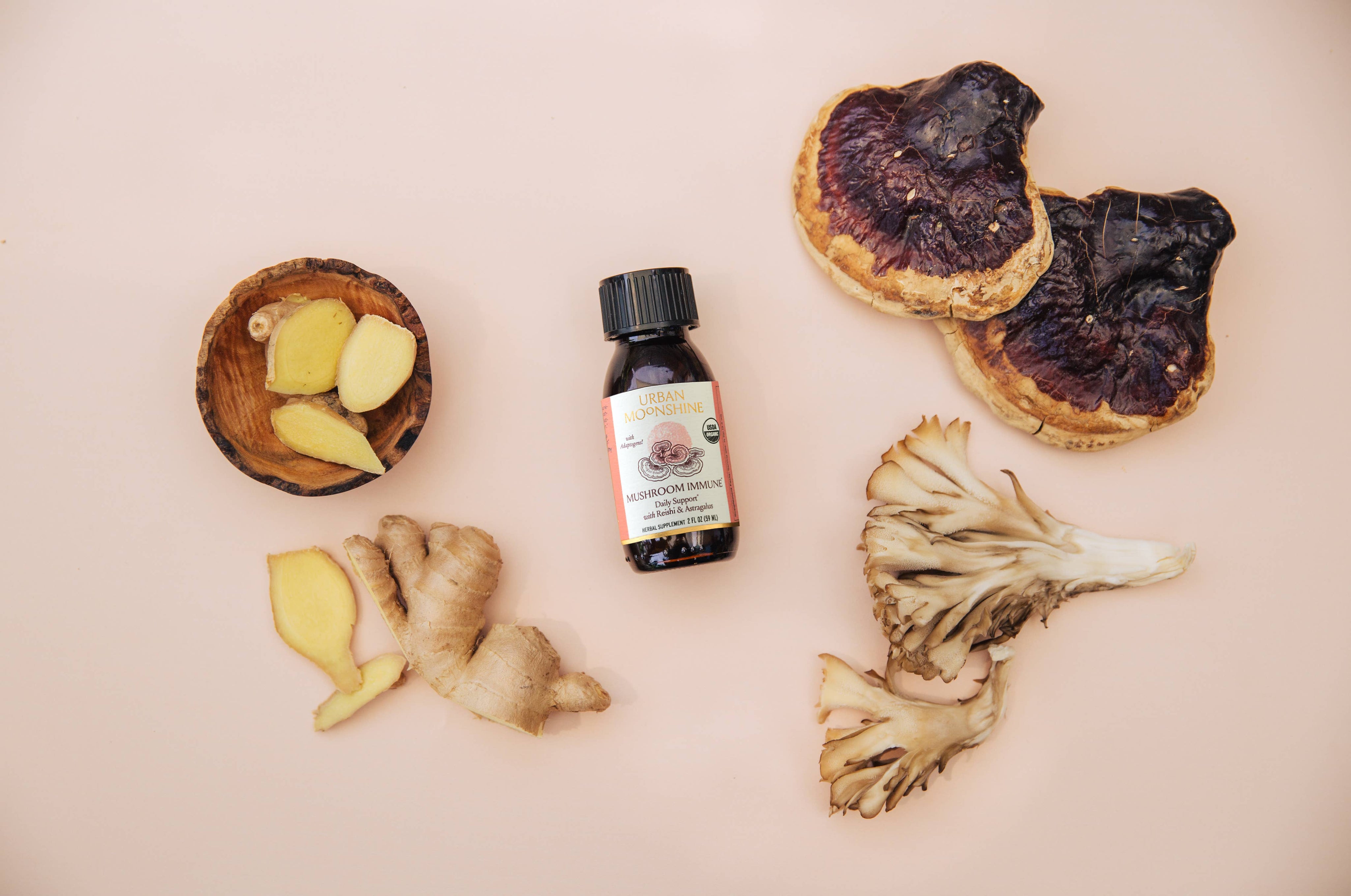 Mushroom Immune Herbal Tonic - Daily Support with Reishi by Urban Moonshine