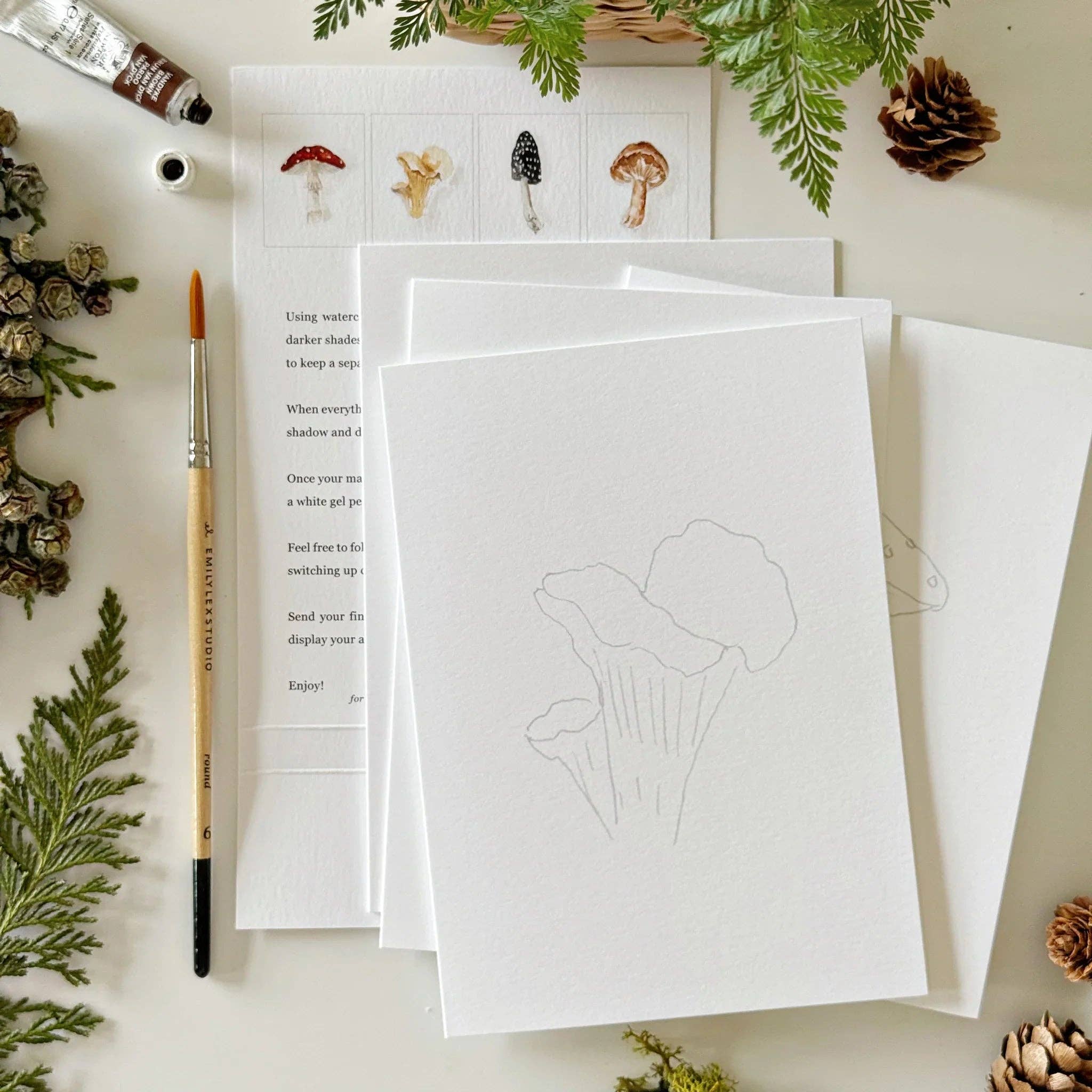 Mushrooms Paintable Watercolor Notecard Set by emily lex studio