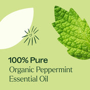 Organic Peppermint Essential Oil 30 mL by Plant Therapy
