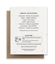 Get Well Soon Plantable Herb Seed Card by Small Victories