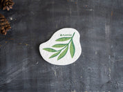 Eucalyptus Pop-up Sponge - 100% Cellulose, Plastic-Free by Plantish