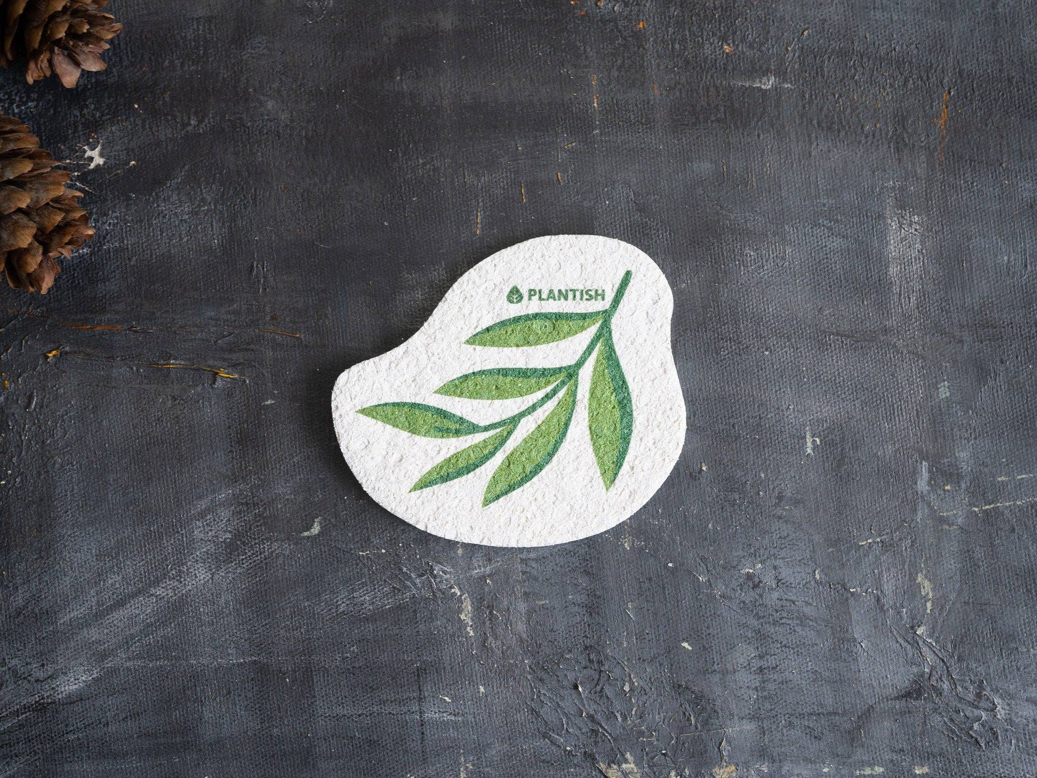 Eucalyptus Pop-up Sponge - 100% Cellulose, Plastic-Free by Plantish