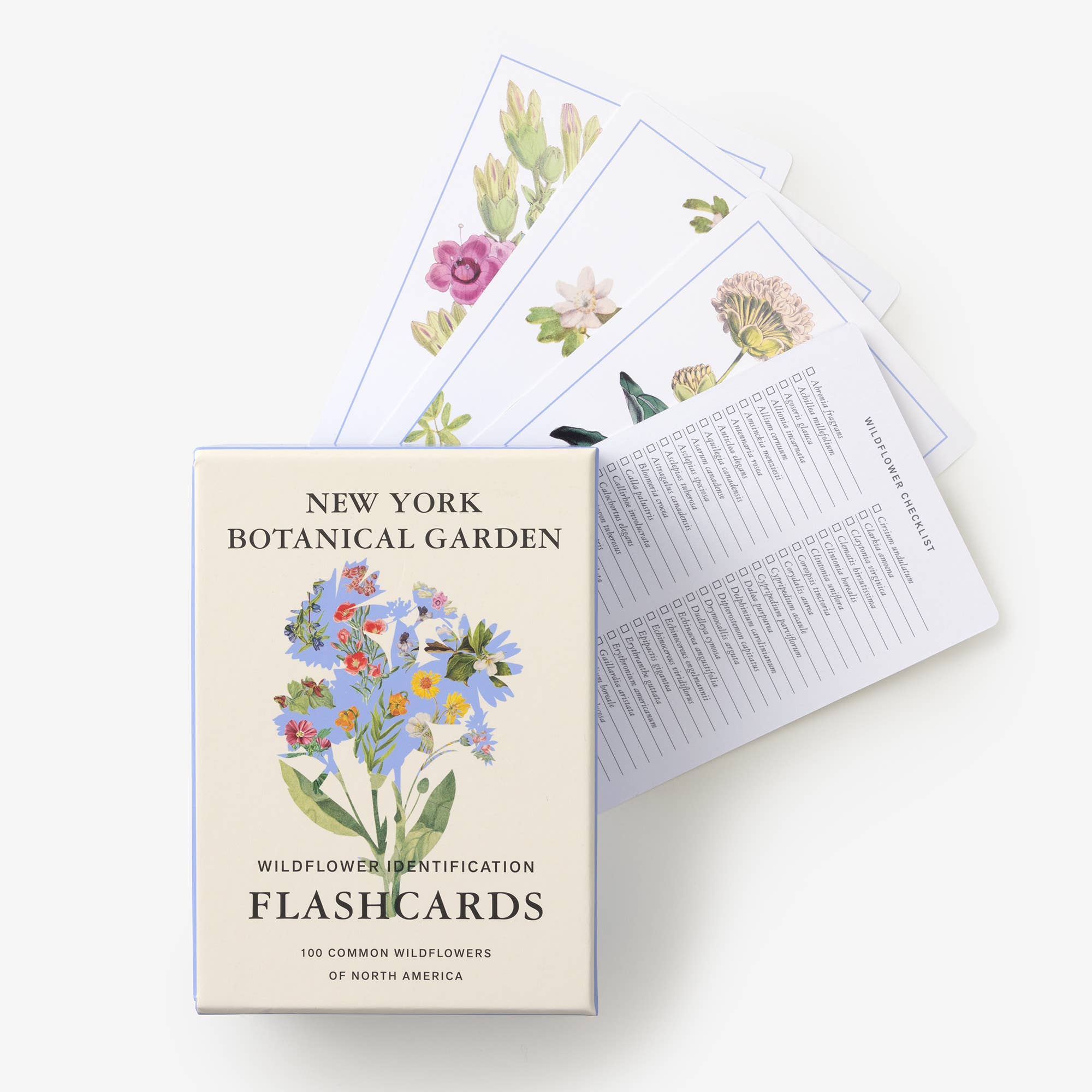 Wildflower ID Flashcards