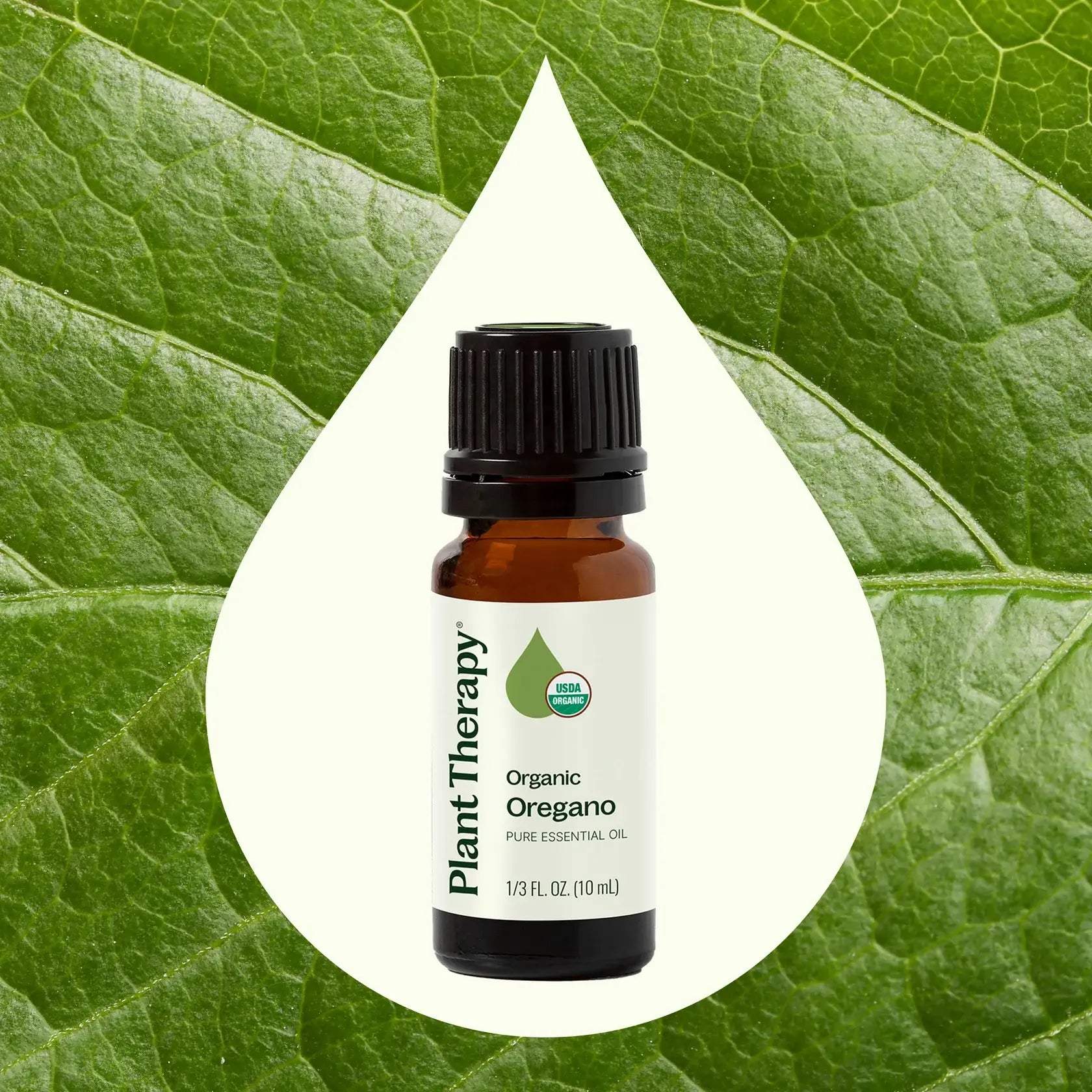 Organic Oregano Essential Oil 10mL by Plant Therapy