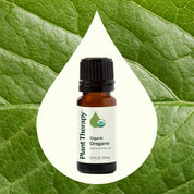 Organic Oregano Essential Oil 10mL by Plant Therapy