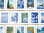 Blueberries Greeting Card by Nan Onkka Prints