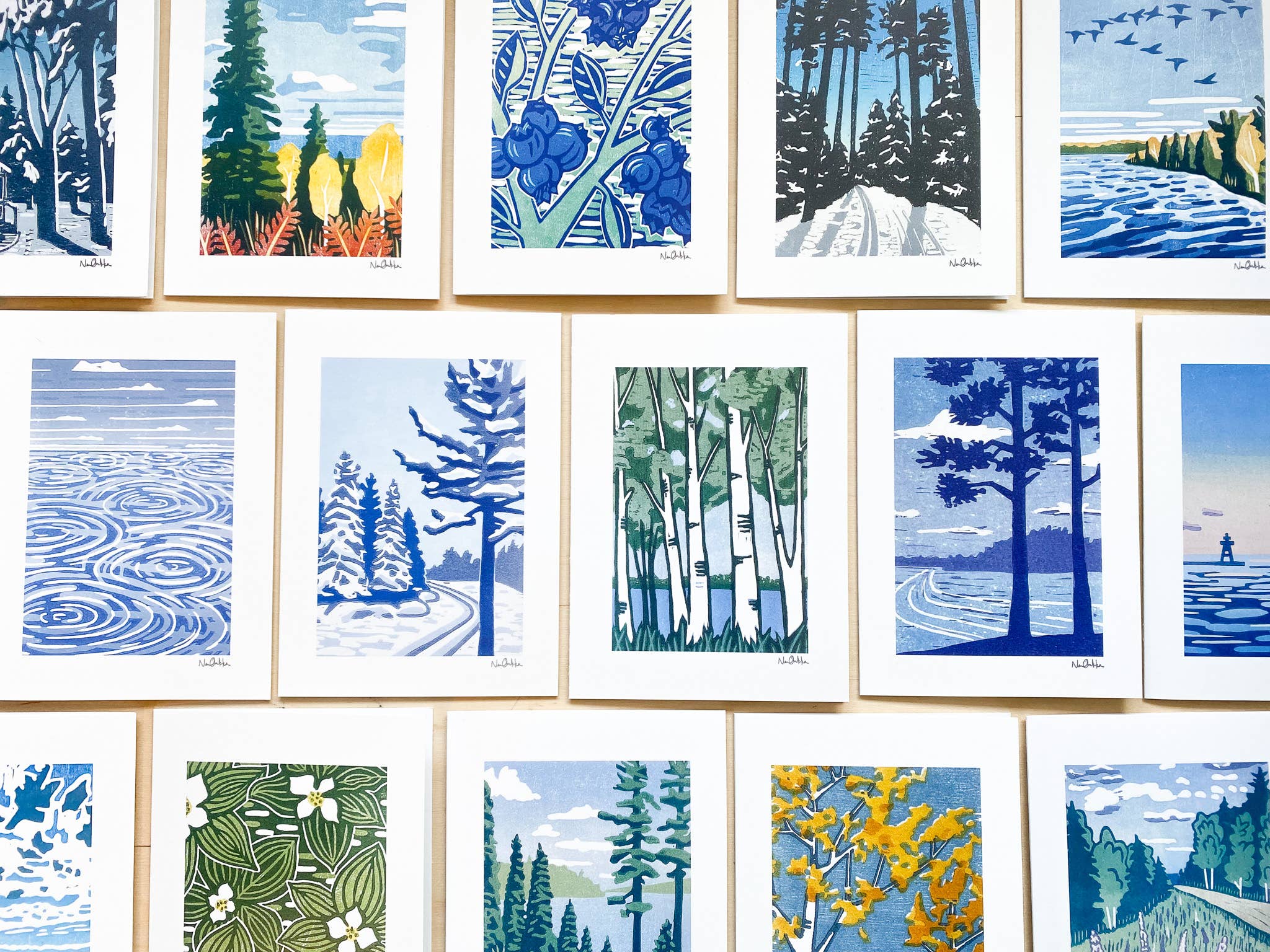 Blueberries Greeting Card by Nan Onkka Prints