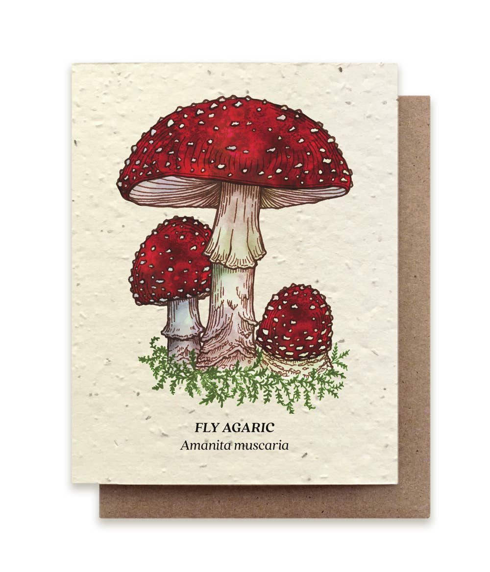 Fly Agaric Mushroom Plantable Wildflower Seed Card by Small Victories