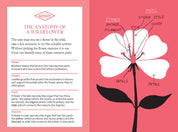 Pocket Nature: Flower Finding Book