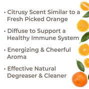 Organic Sweet Orange Essential Oil 100 mL by Plant Therapy