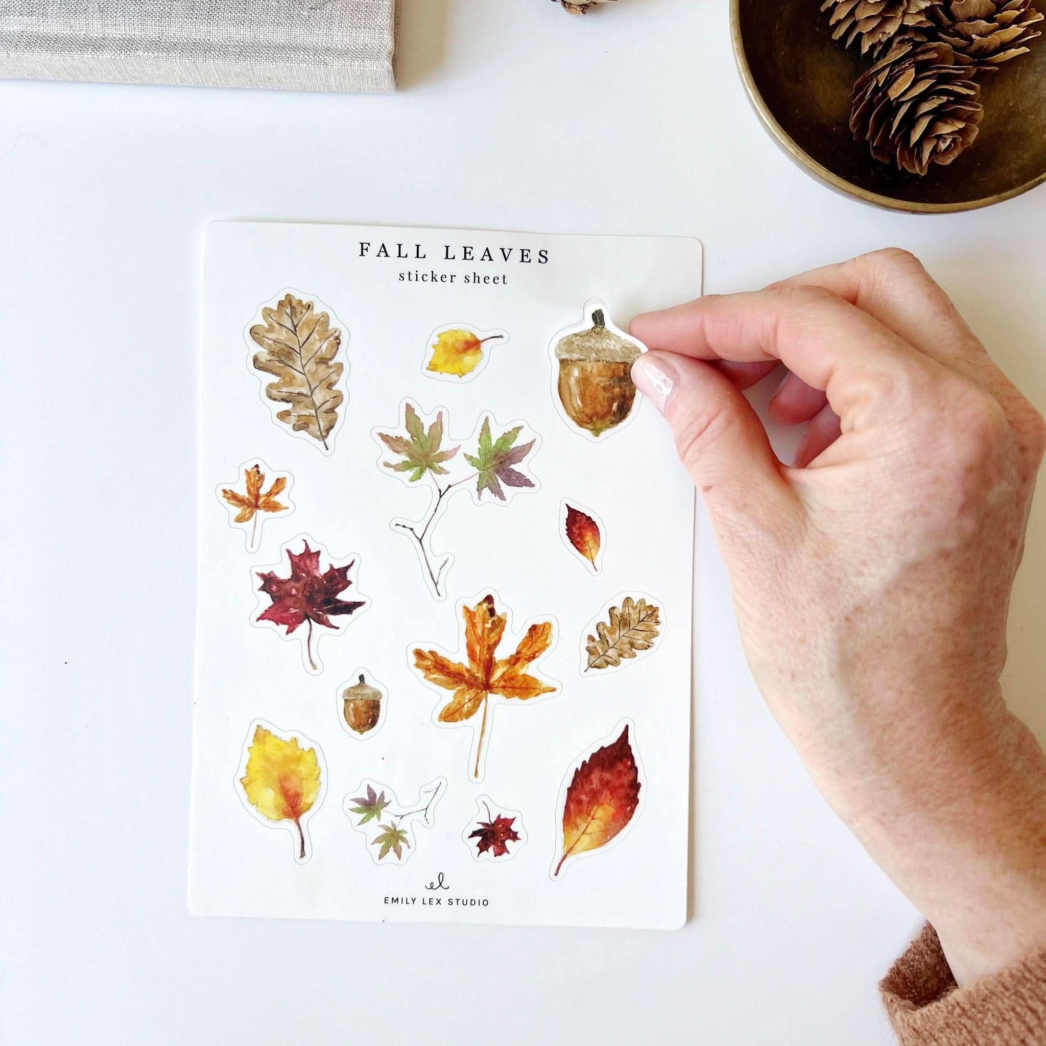 Autumn Sticker Sheets by emily lex studio