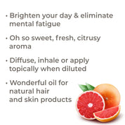 Organic Pink Grapefruit Essential Oil 10 mL by Plant Therapy