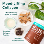 Chocolate + Reishi Mushroom Collagen Peptides Powder by Further Food
