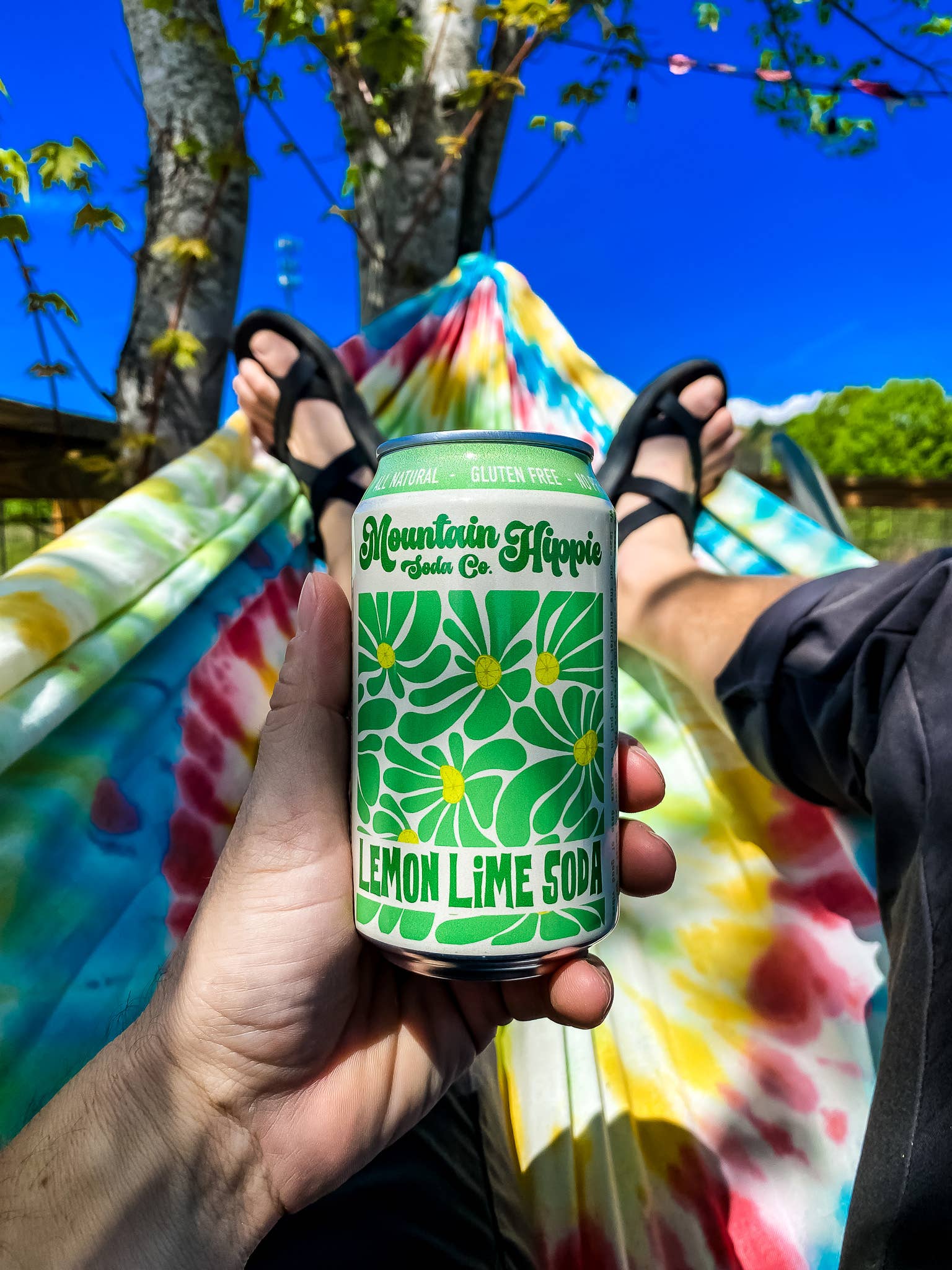 Lemon Lime Natural Soda by Mountain Hippie Soda Co.