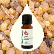Organic Frankincense Serrata Essential Oil 10 mL by Plant Therapy