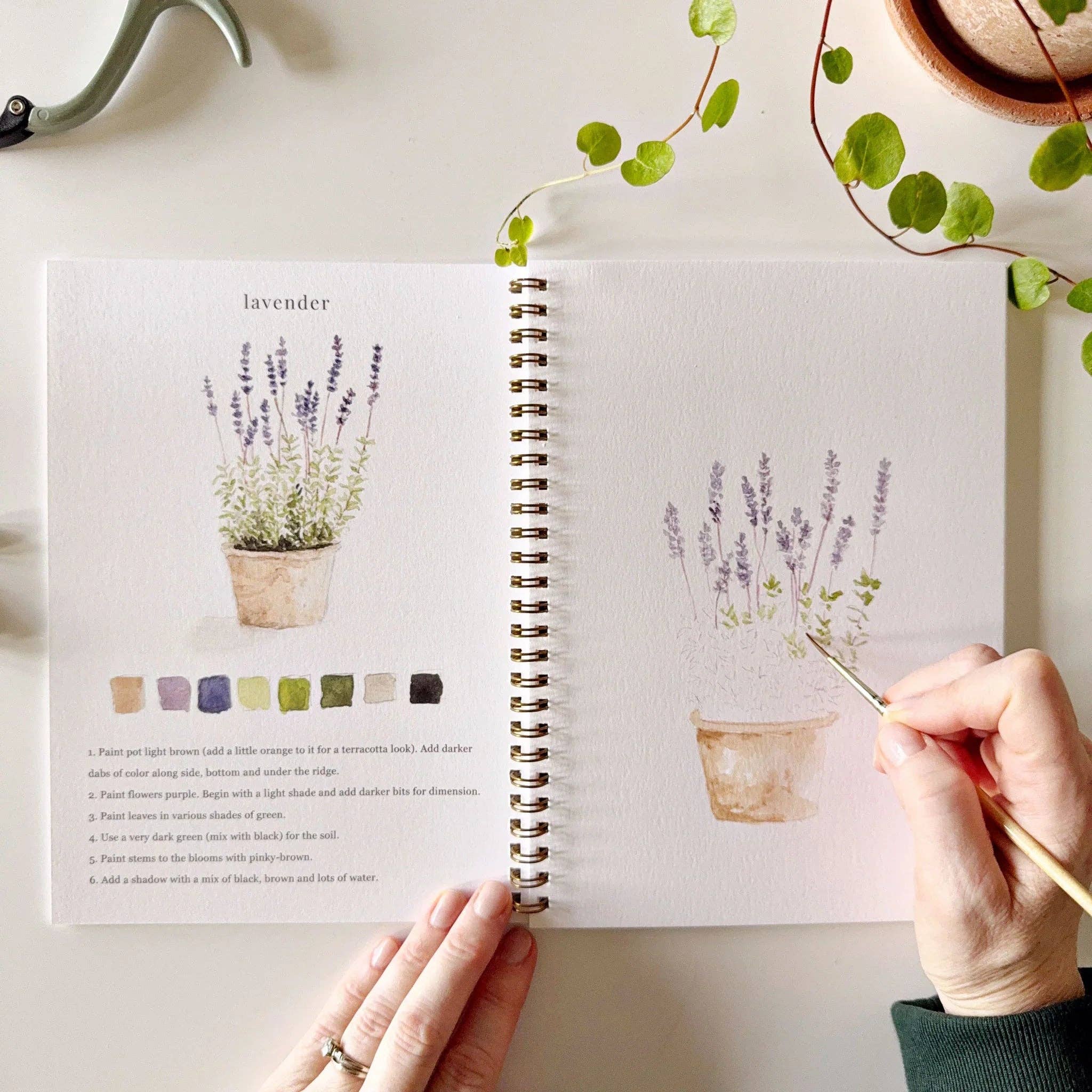 Garden Watercolor Workbook by emily lex studio