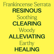 Organic Frankincense Serrata Essential Oil 10 mL by Plant Therapy