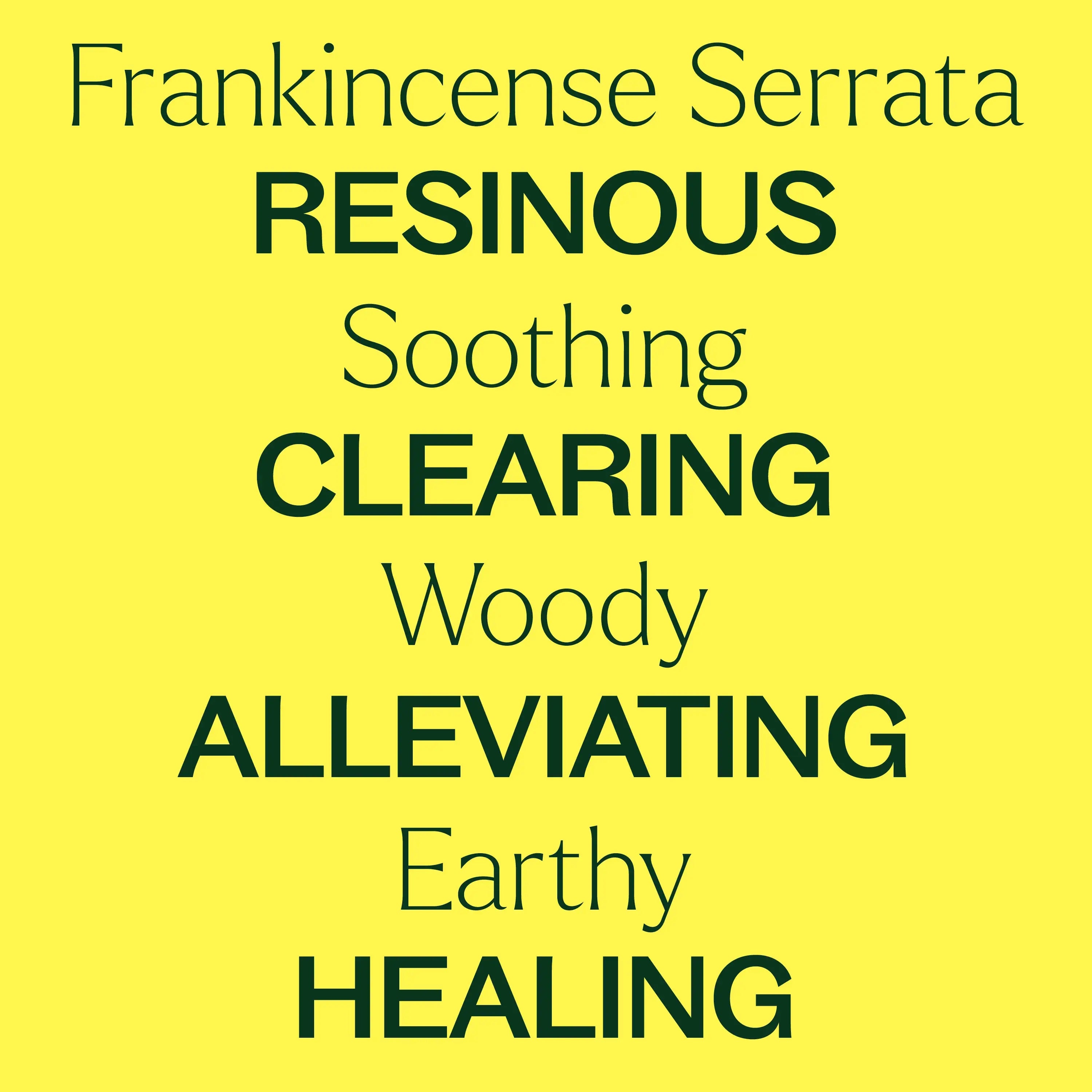 Organic Frankincense Serrata Essential Oil 10 mL by Plant Therapy
