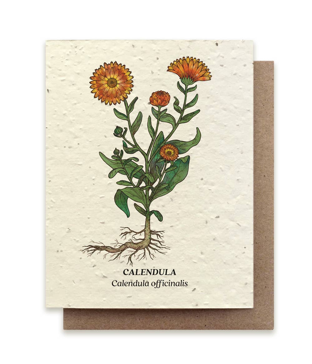 Calendula Plantable Wildflower Seed Card by Small Victories