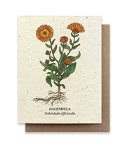 Calendula Plantable Wildflower Seed Card by Small Victories