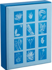 Sunprint Notecards