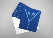 Sunprint Notecards