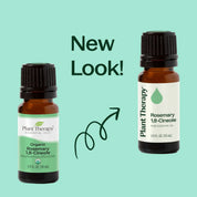 Organic Rosemary 1,8-Cineole Essential Oil 10 mL by Plant Therapy