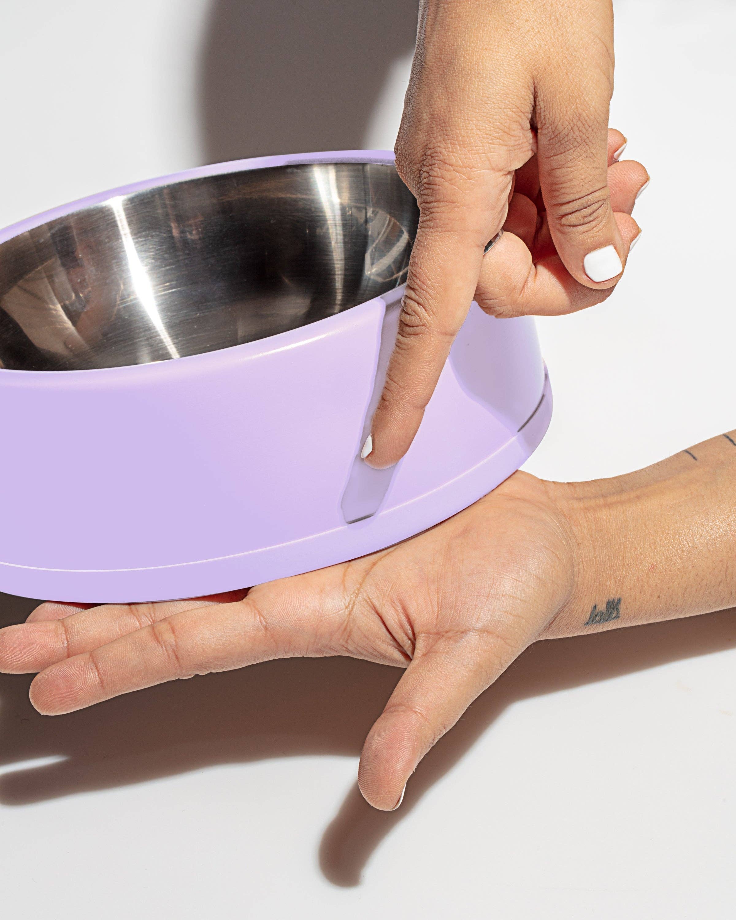 Dog Bowl by Wild One