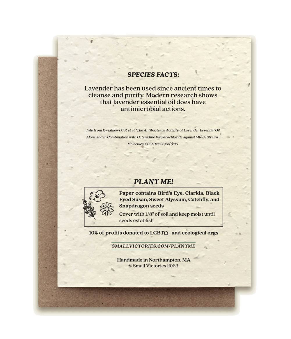 Lavender Plantable Wildflower Seed Card by Small Victories