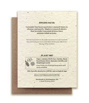 Lavender Plantable Wildflower Seed Card by Small Victories
