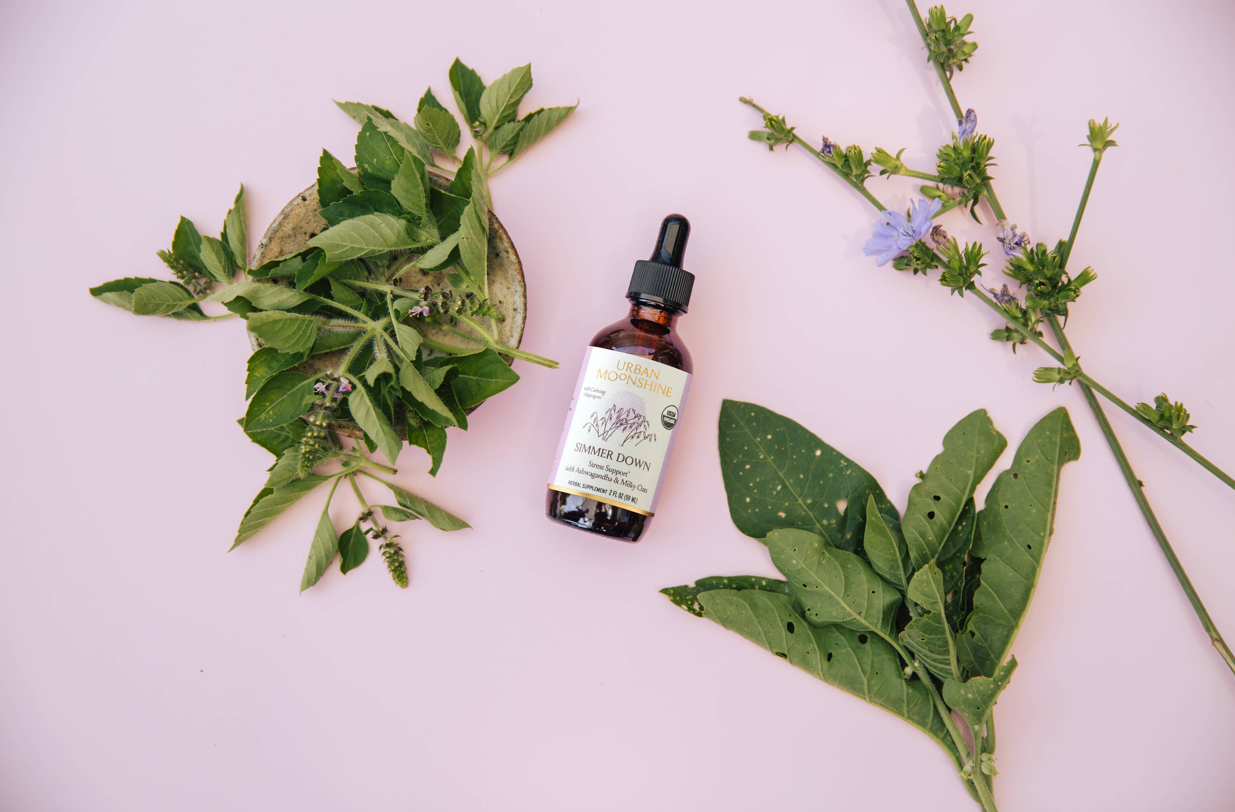 Simmer Down Tonic - Herbal Stress Support w/ Ashwagandha by Urban Moonshine