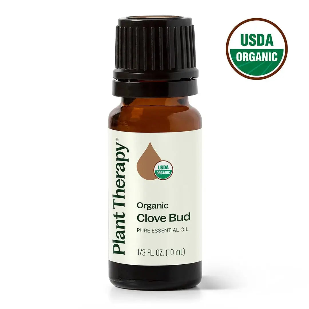 Organic Clove Bud Essential Oil 10 mL by Plant Therapy