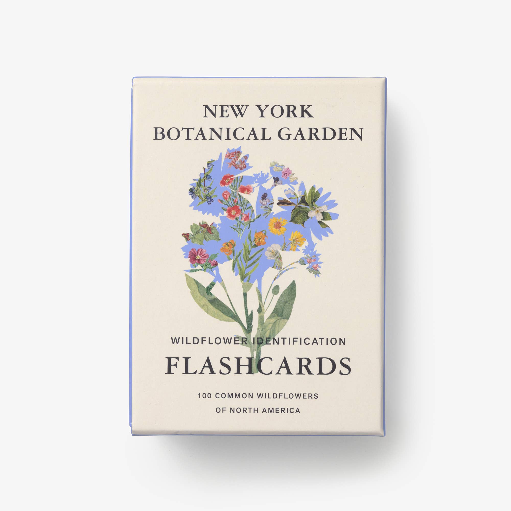 Wildflower ID Flashcards