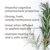 Organic Rosemary 1,8-Cineole Essential Oil 10 mL by Plant Therapy