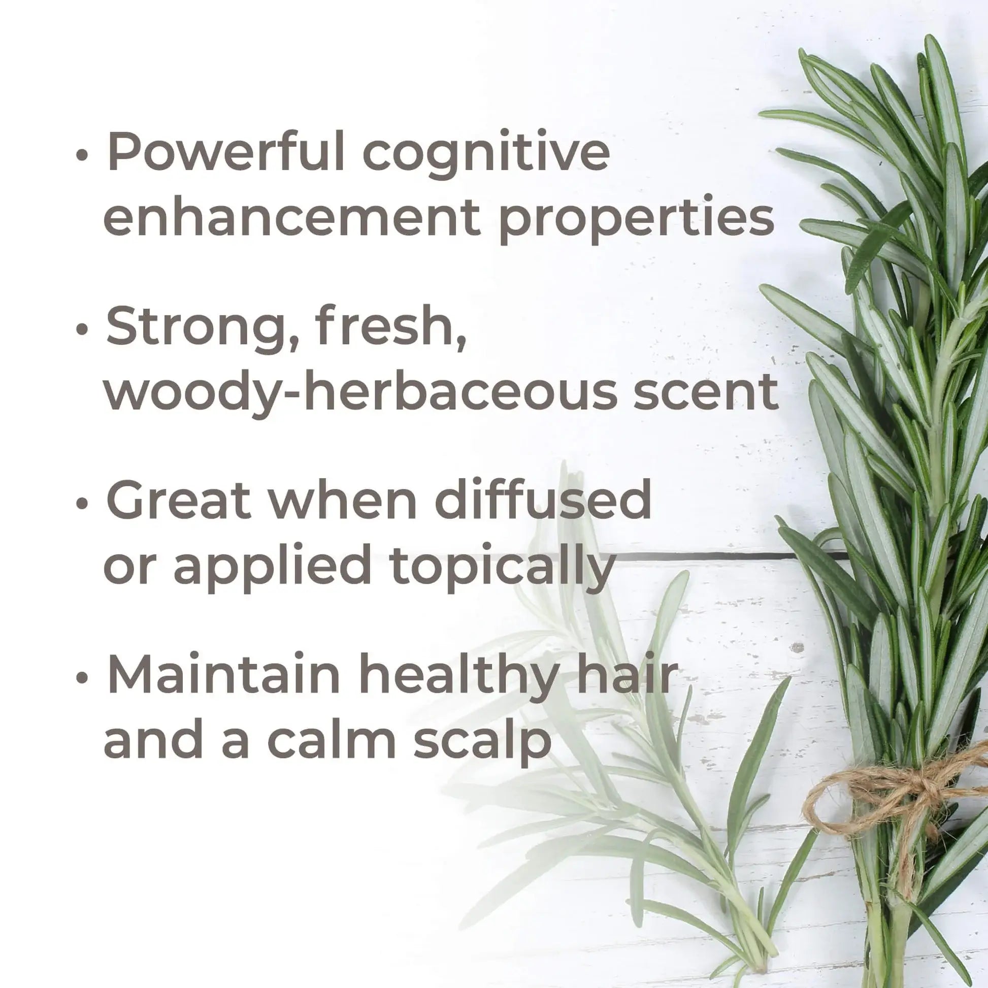 Organic Rosemary 1,8-Cineole Essential Oil 10 mL by Plant Therapy