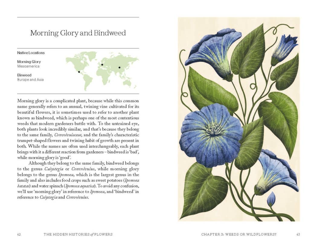 The Hidden Histories of Flowers Book