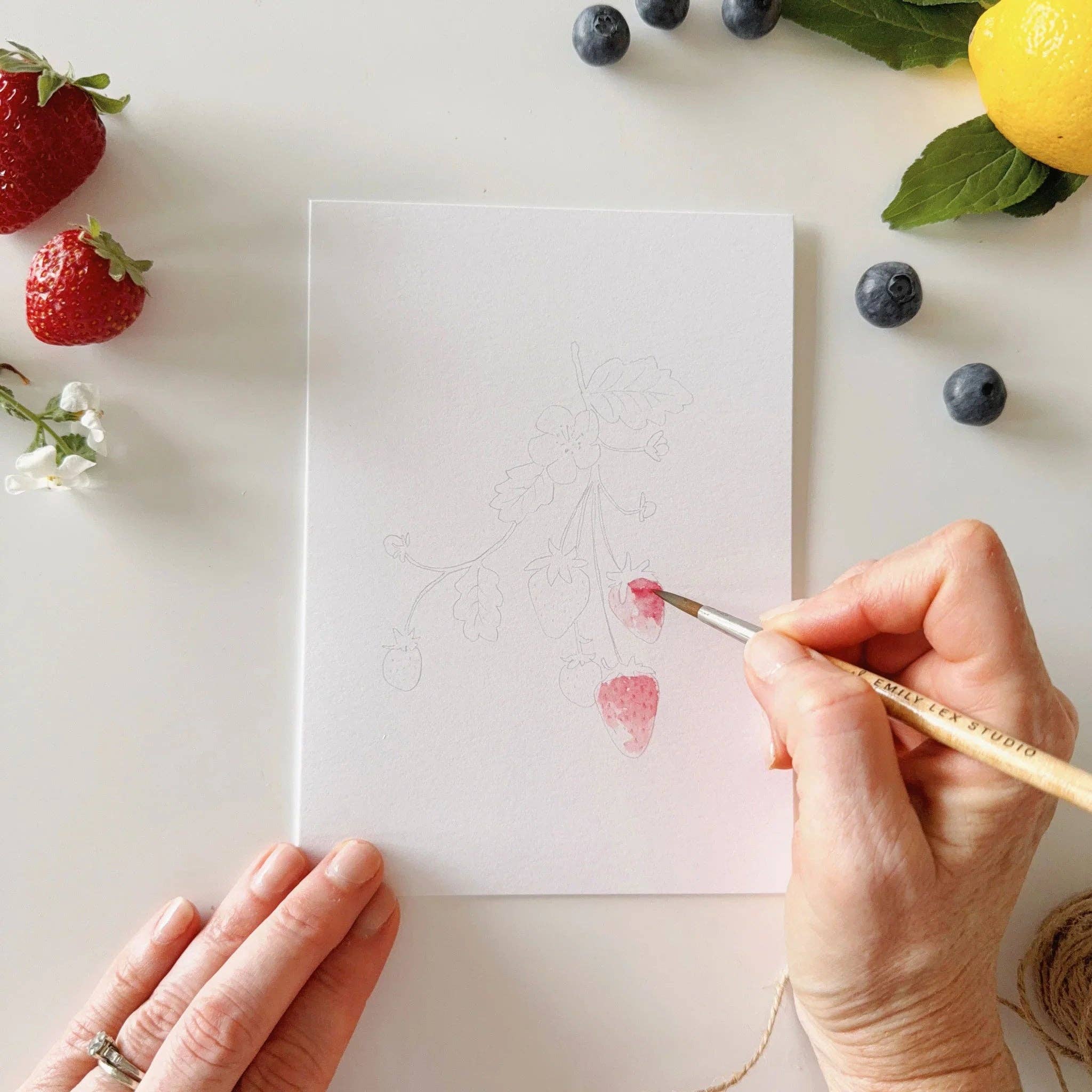 Fruit Paintable Watercolor Notecard Set by emily lex studio